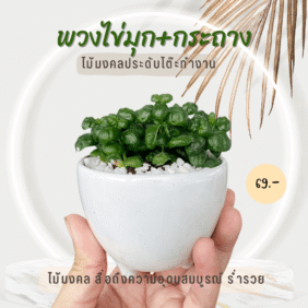 022-SET-พวงไข่มุก-กระถาง-3-ขา-69บาท-1.png