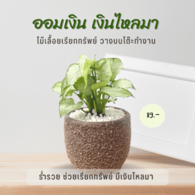 026-SET-ออมเงิน-เคลือบทรายสามขา-89-บาท-1.png